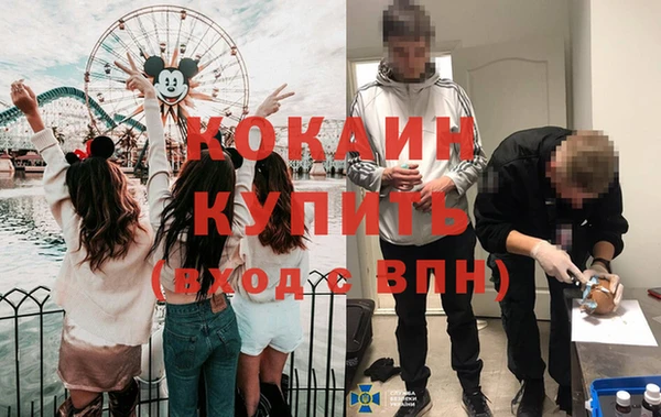 mdpv Лабытнанги