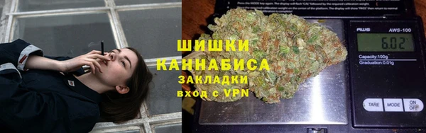 шишки Ладушкин