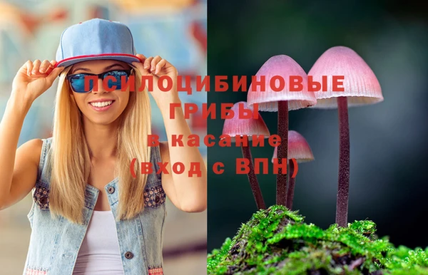 шишки Ладушкин
