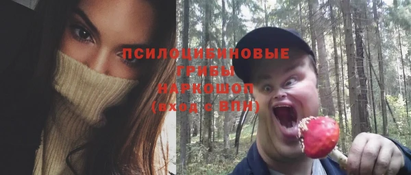PSILOCYBIN Кулебаки