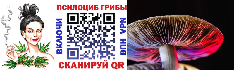 купить наркотик  mega   Псилоцибиновые грибы GOLDEN TEACHER  Судак 